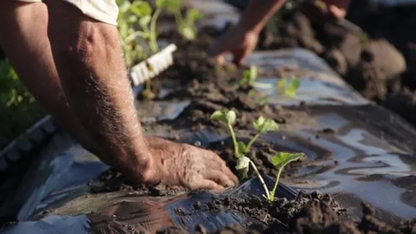 La UE financia con más de 1,6 millones de euros tres proyectos de agroecología en Uruguay
