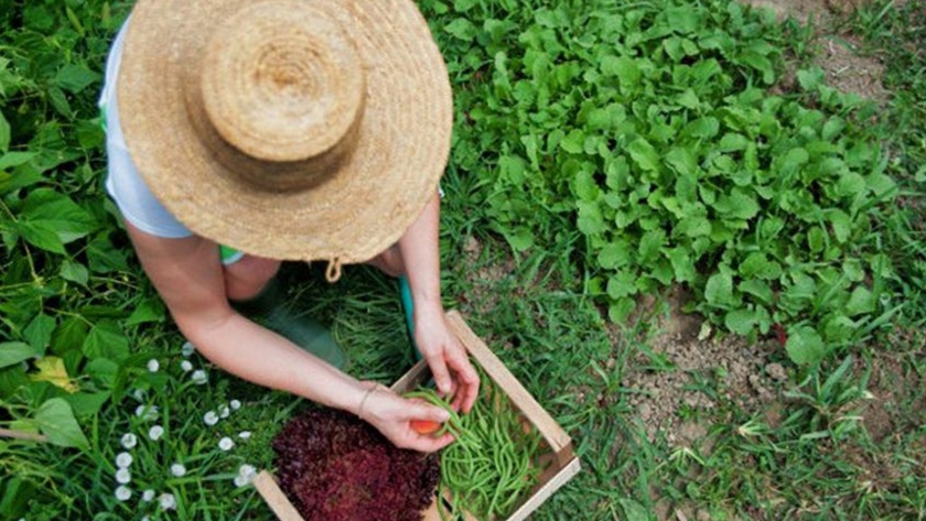 Agricultura recibió más de 800 propuestas para el Plan "En nuestras manos"