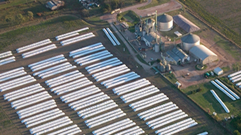 Cómo prevenir las pérdidas que se generan durante el almacenaje de granos en silobolsas