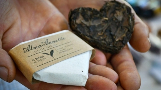 El té artesanal que obtuvo la primera certificación agroecológica de la Argentina