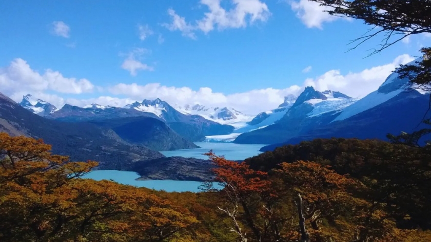 Mapa detallado revela la diversidad forestal de Argentina: un avance en manejo y conservación