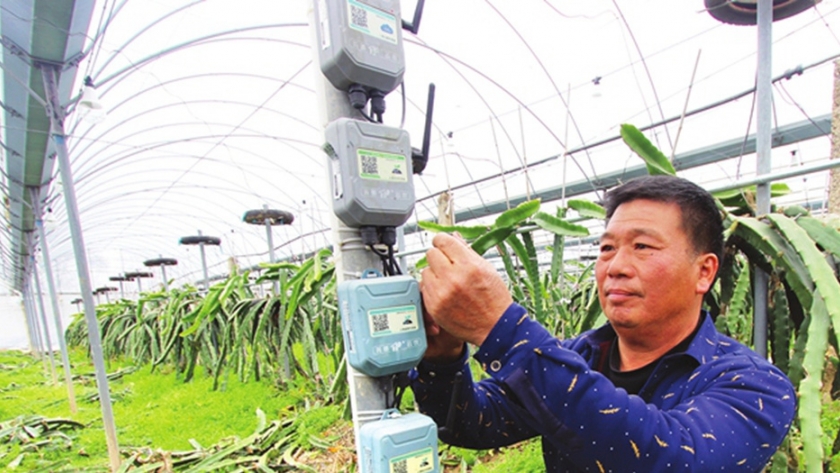 La tecnología agrícola inteligente puede transformar la agricultura china y ayudar a alimentar al planeta   