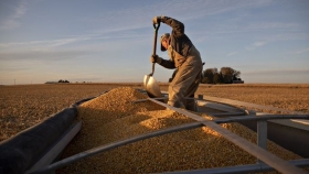 China necesita más maíz estadounidense para cubrir la escasez doméstica