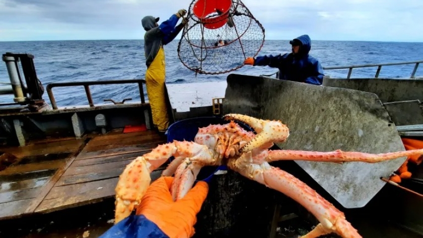 Segunda evaluación para la certificación de la Centolla Argentina: Avances y Compromisos