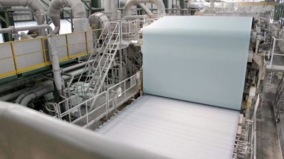 La industria de la celulosa busca consolidarse como el mayor generador de valor de la cadena forestoindustrial