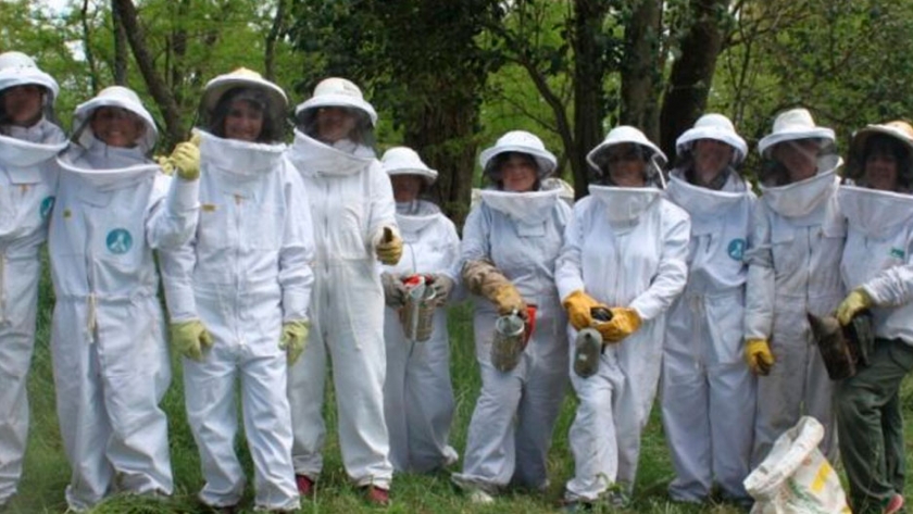 Reinas de Corazones: Mujeres se organizan de modo solidario para producir miel y así logran tener una oportunidad de ingresos propios