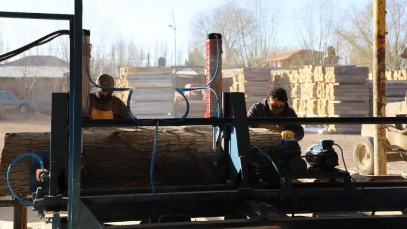 Están abiertas las líneas de créditos para el acceso a equipamiento, maquinarias, manejo y promoción forestal