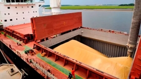 Maíz: se informó el mayor compromiso semanal registrado en Estados Unidos con una fuerte demanda de China