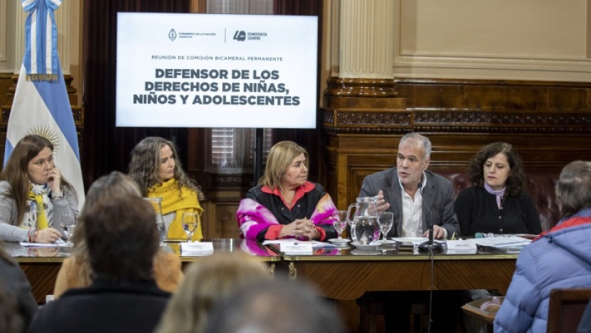 Se presentó un informe sobre la implementación de la Ley 27.709 y el Censo Nacional de Dispositivos de Cuidado Residencial de Niñas, Niños y Adolescentes