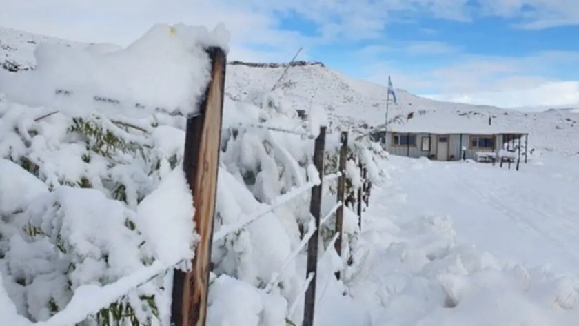 Frío extremo: alertas y recomendaciones ante temperaturas históricas