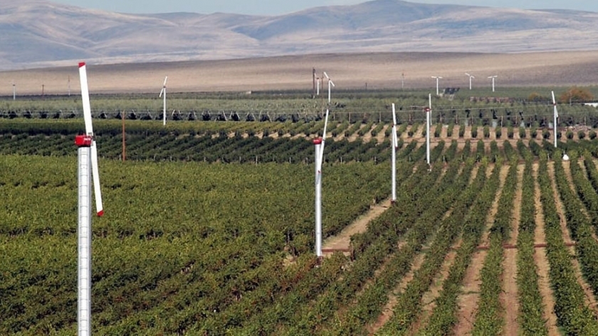 Molinos de viento: una nueva forma de dar batalla a las heladas