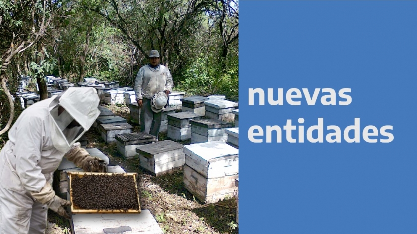 Del pueblo de la miel para todo el país