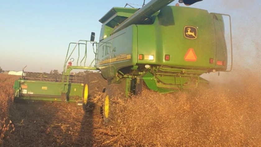 La soja cierra la cosecha con buenas noticias: Córdoba crece en producción y el país recupera toneladas