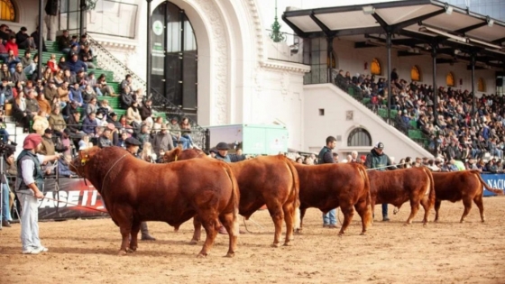La eficiencia reproductiva gana protagonismo en la Expo Rural con nuevas tecnologías para la ganadería