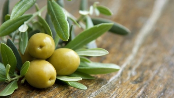 Transforman residuos del olivar en energía, insumos y nuevos negocios con una herramienta tecnológica pionera