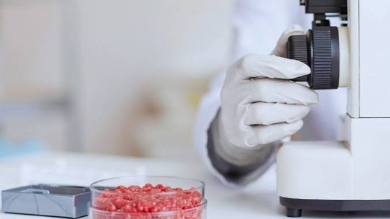 Un estudio del INTA identificó una dosis de irradiación gamma para reducir STEC en carne vacuna