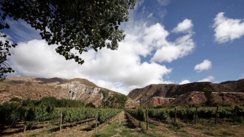 Bodegas podrán certificar sus prácticas de sostenibilidad