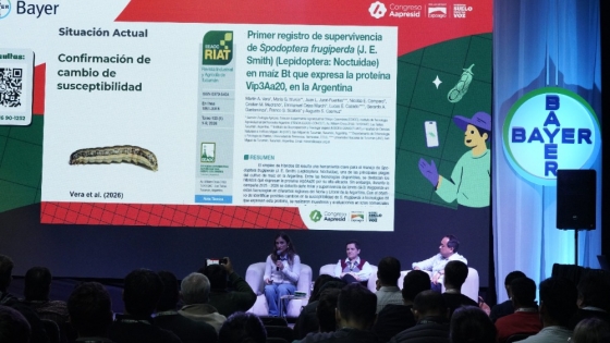 Maíz Bt: “El problema no son las plagas, somos nosotros”, alertaron los expertos