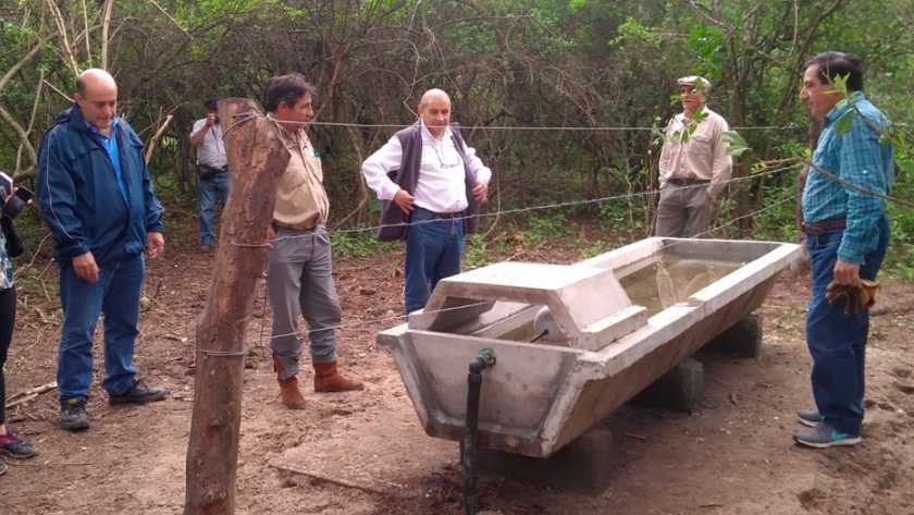 Ganaderos de Leales avanzaron en sus sistemas productivos y de comercialización