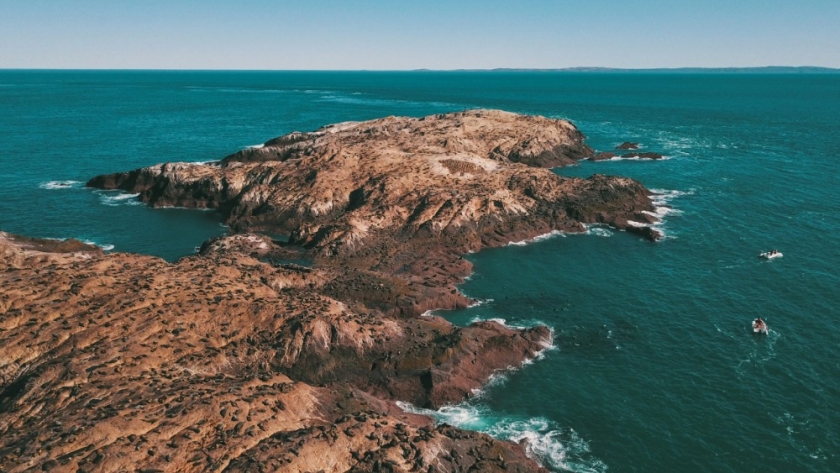 Patagonia Azul: el corredor costero de Chubut que combina conservación, comunidades locales y turismo responsable