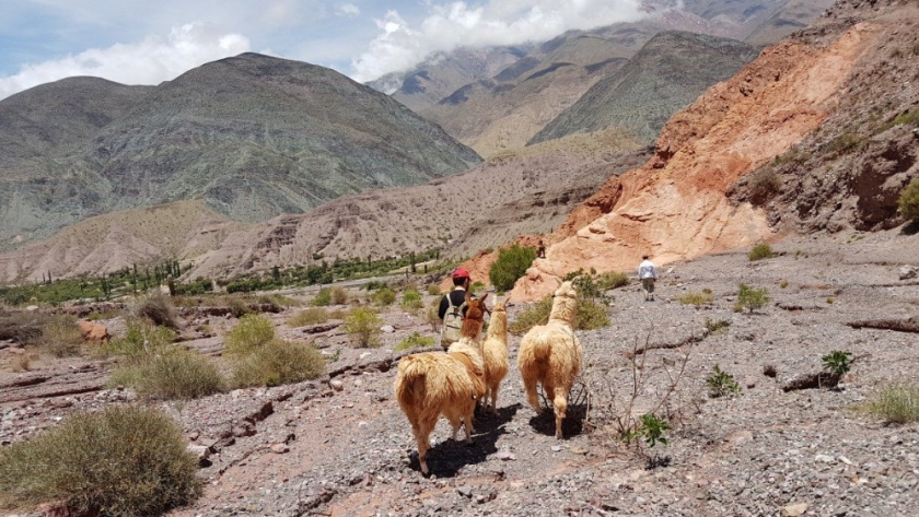 Fin de semana con gran movimiento turístico en Jujuy