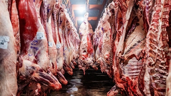 Carne vacuna: caen las exportaciones, pero los precios internacionales ofrecen alivio al sector