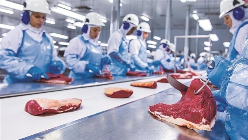 Carne: exportaciones en picada