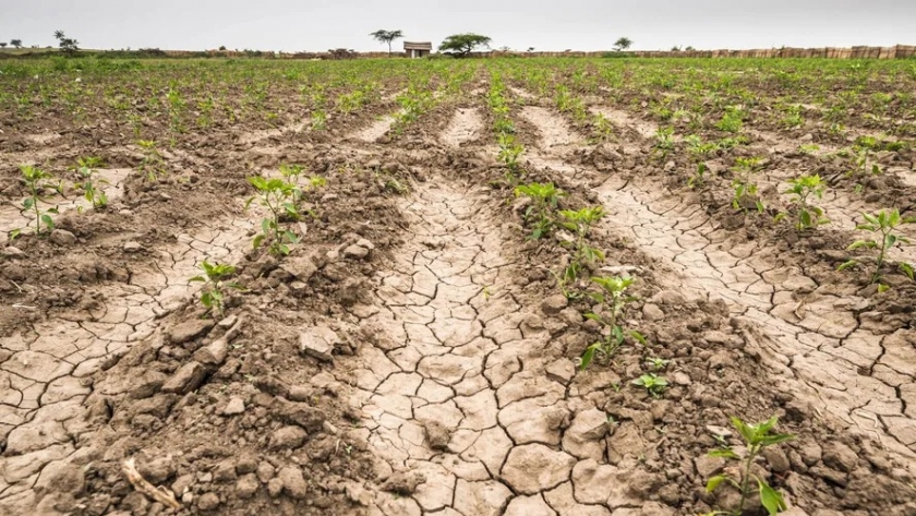 La Provincia continúa impulsando medidas de apoyo al sector agropecuario afectado por la sequía