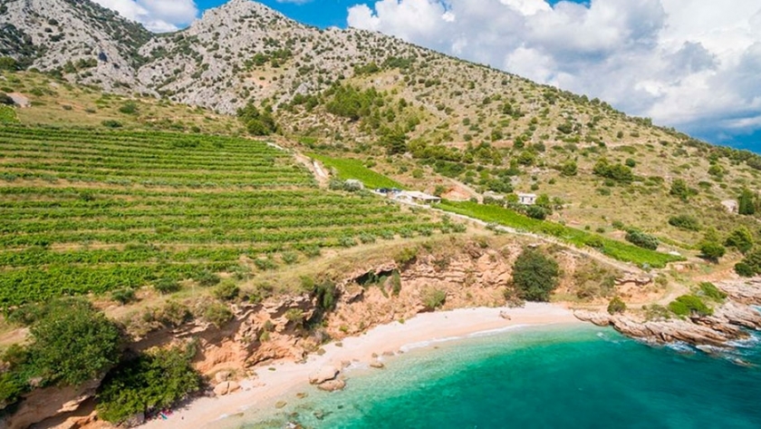 Croacia, un país de vinos