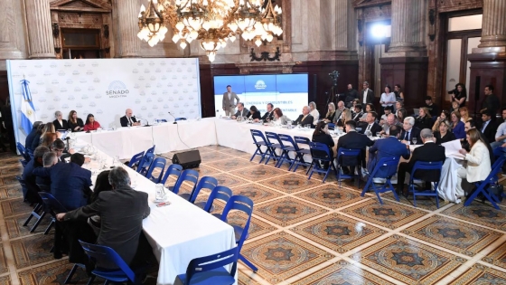 El Senado impulsa un nuevo marco para biocombustibles: la iniciativa de Alejandra Vigo por un futuro sostenible