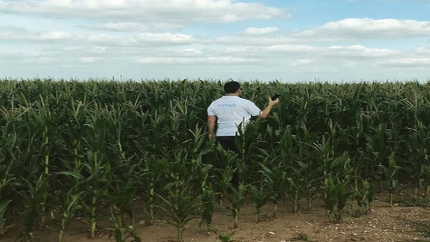Cómo aprovechar las AgTech