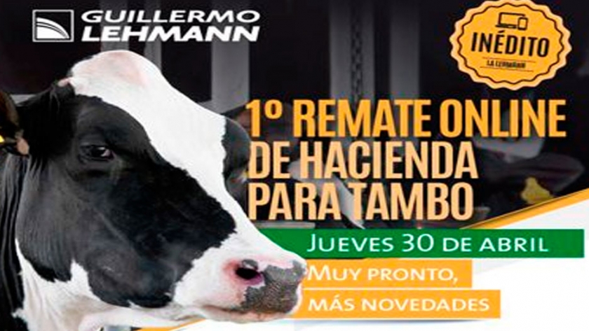 Histórico:  La Lehmann realizará el primer remate online de hacienda para tambo del país