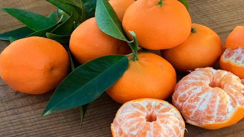 Mercado Mundial Del Aceite De Mandarina 2020