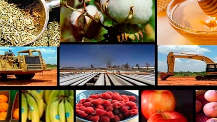 Apoyan baja de retenciones a economías regionales