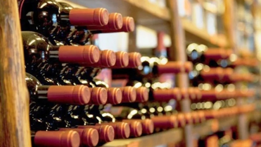 Duro revés de una bodega chilena por usar la marca Patagonia
