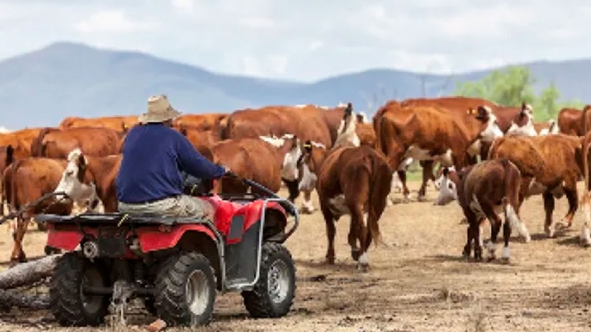Australia, el país que dio vuelta las adversidades