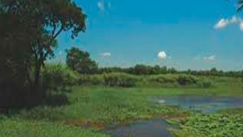 Influencia de las Métricas de Paisaje en la Abundancia Poblacional de Mamíferos Medianos y Grandes en un Paisaje Fragmentado de la Ecorregión del Santiago del Estero