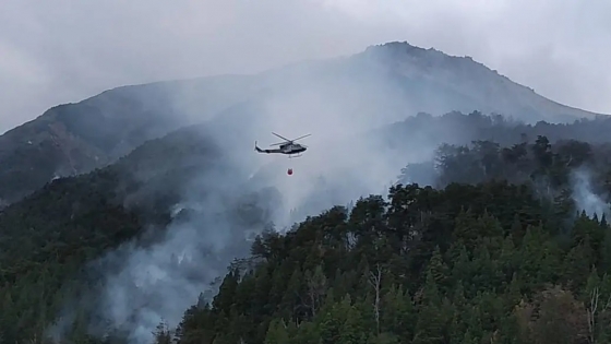 <Trabajo integral del Gobierno de Río Negro en la zona afectada por los incendios forestales