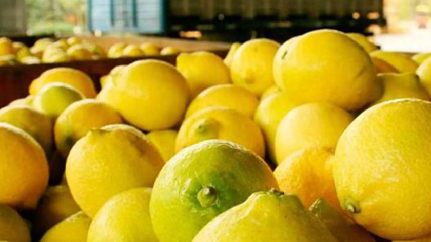 China abrió su mercado para los limones argentinos