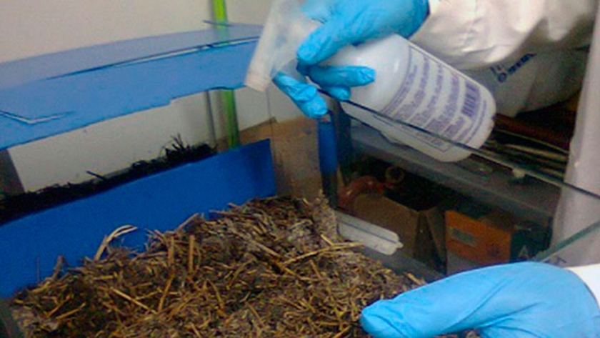 Camas biológicas: una alternativa para reducir la contaminación