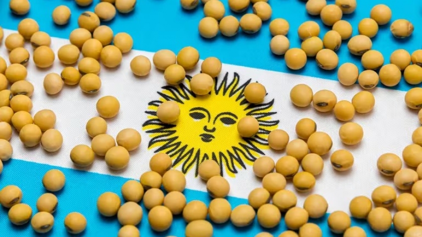 Argentina simplifica registro de compradores de granos para impulsar el comercio exterior