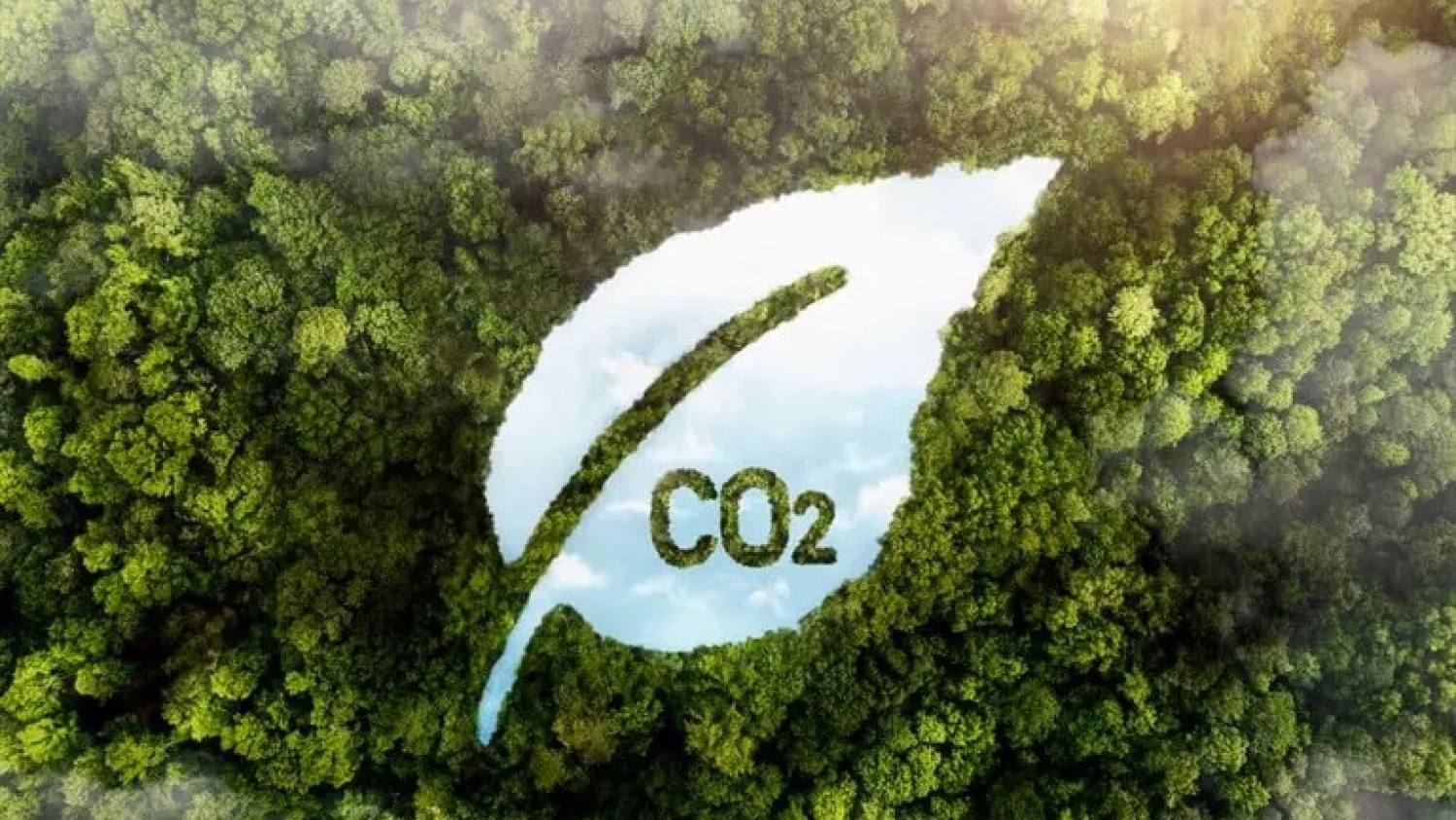 El nuevo negocio del agro que puede generar hasta US$3.900 millones por año