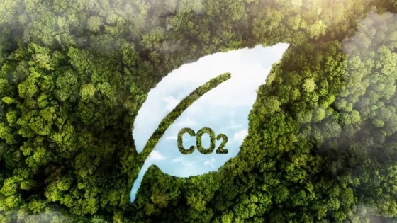 El nuevo negocio del agro que puede generar hasta US$3.900 millones por año