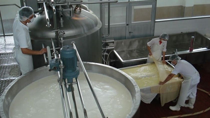 Investigadores buscan convertir los desechos de la industria láctea en biocombustible