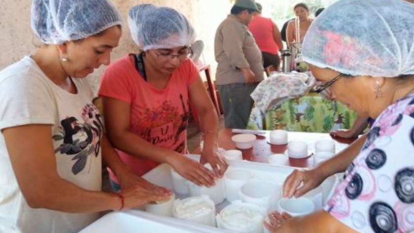 Quesos caprinos: el desafío de diversificar la producción