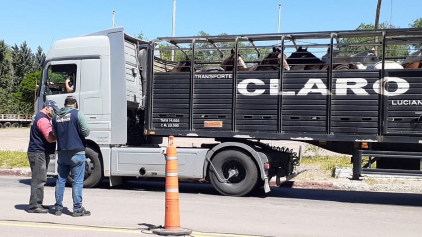 En resguardo de la salud se realizaron controles de alimentos en rutas de La Pampa