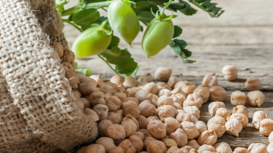 El auge del garbanzo: crecimiento en el consumo y desafíos para la producción en Argentina