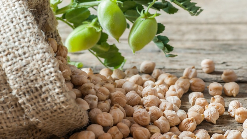 El auge del garbanzo: crecimiento en el consumo y desafíos para la producción en Argentina