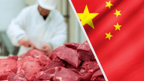 China incrementará sus importaciones de carne vacuna: ¿oportunidad para Argentina?