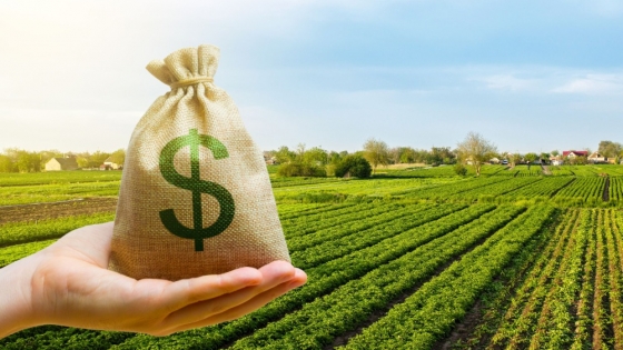 Equilibrio fiscal antes que reducciones de retenciones: enfoque del gobierno para el sector agropecuario